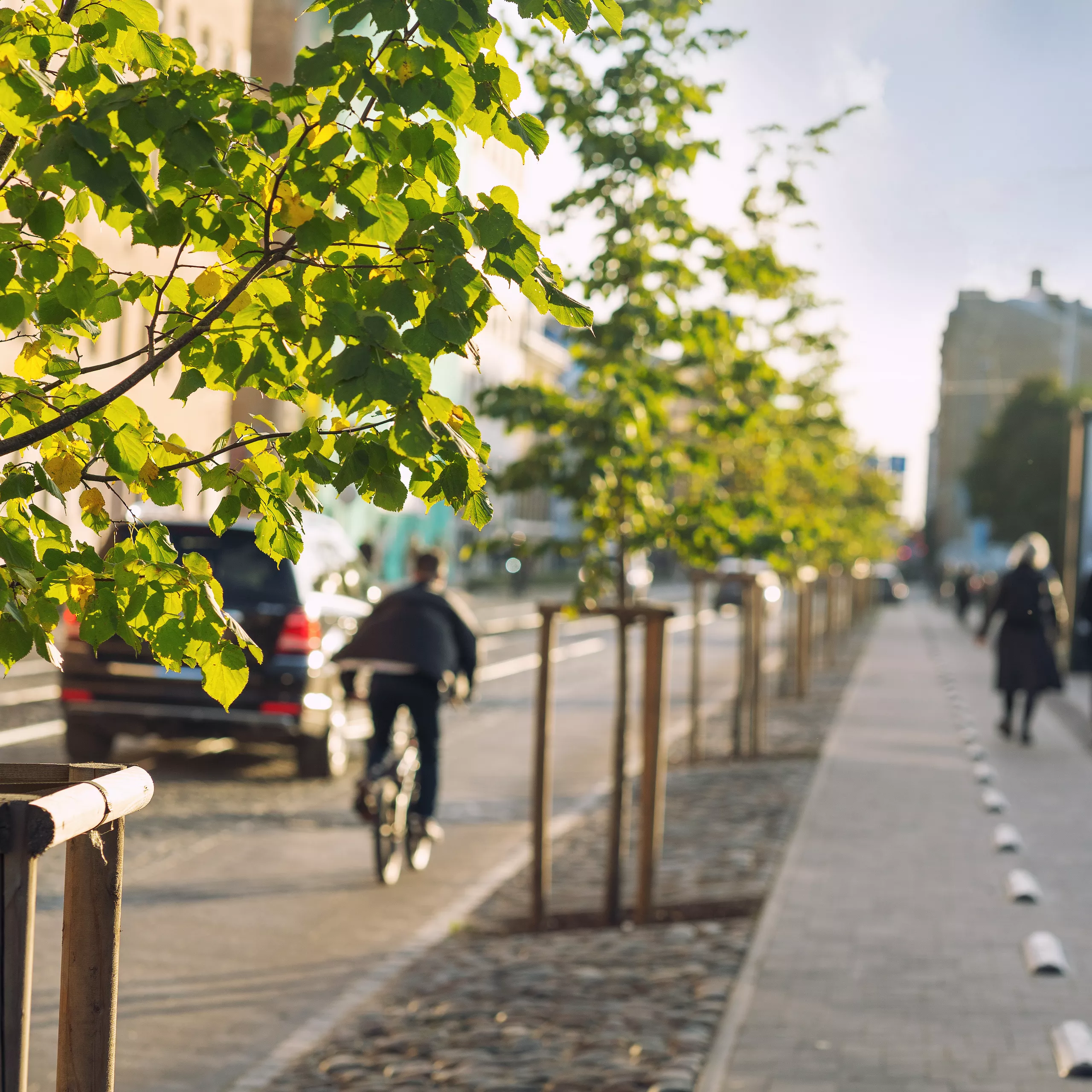 Ways to stay safe on the roads as a pedestrian - Saferoads